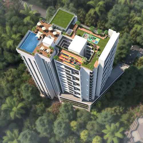 forest-view-4