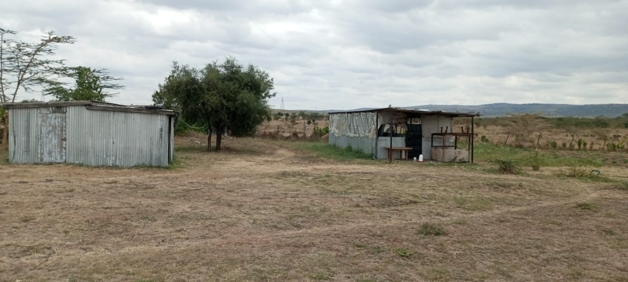 5a4d9eab-c927-410d-ba83-fb9aa8519a61