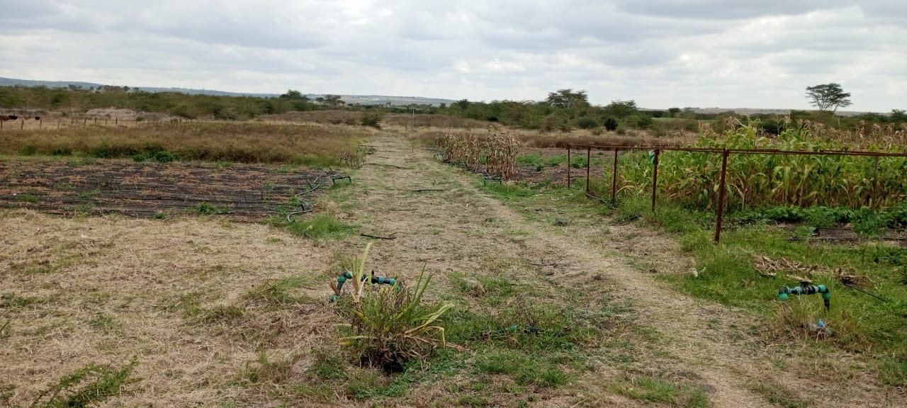 8d4e2637-5b47-42e1-b6e6-f6b1db0c0a4b