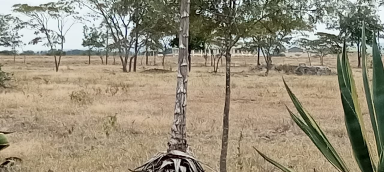 9e6b2cd8-238c-4255-a584-b1e7fd07e54f