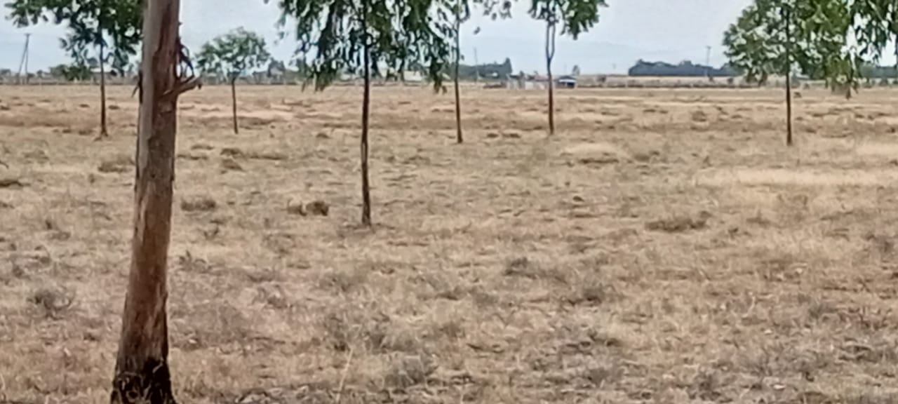 de19059b-3ed3-4dba-8e81-599624c432bb